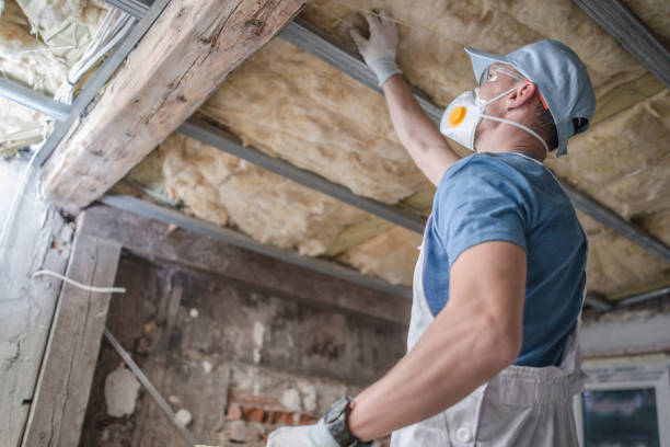 Best Commercial Insulation in St Anthony, ID