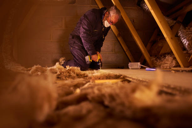 Best DIY Insulation Kits and Guidance in St Anthony, ID